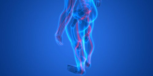Mal a la jambe et au dos : le trajet du nerf sciatique