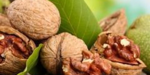 Manger des noix pourrait reduire le risque de diabete de type 2