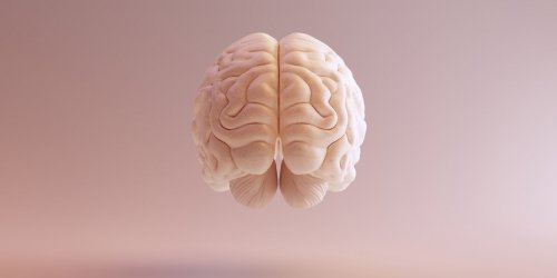 Deficience intellectuelle : quels sont les symptomes revelateurs ?