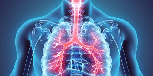 Asthme : les anomalies dans les poumons seraient hereditaires selon une etude