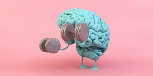 Cerveau : 5 cles de scientifique pour garder votre memoire le plus longtemps possible