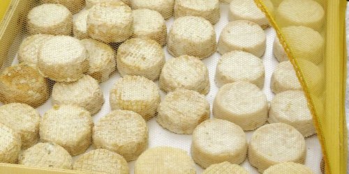 Salmonellose a cause du fromage de chevre contamine : 20 cas detectes