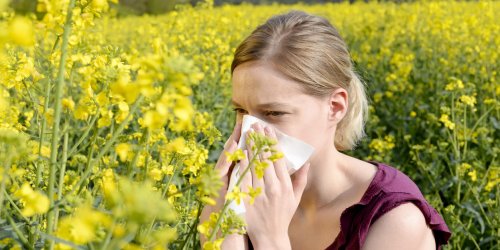 Allergie au pollen : les symptomes oculaires