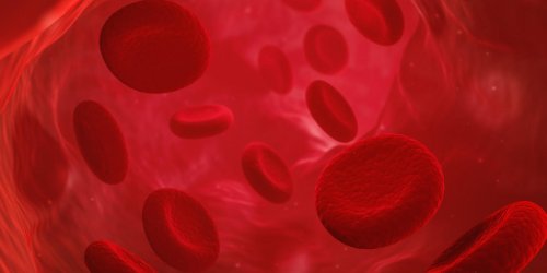 Anemie et cancer du sang : un lien ?