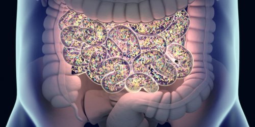 Microbiote intestinal : vos intestins, un remede contre les allergies ?