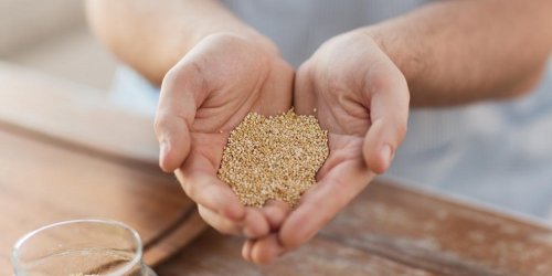 Quinoa : 6 bonnes raisons de l-ajouter a vos repas