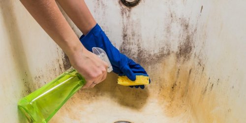 Salle de bain : 7 astuces naturelles pour enlever les moisissures