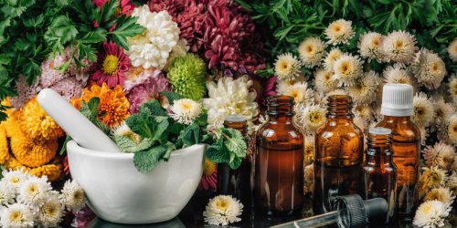 Fleurs de Bach : 5 elixirs pour calmer les angoisses