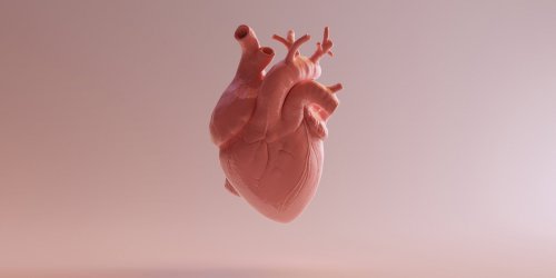 Ce qu-il faut manger (ou non) pour proteger son cœur