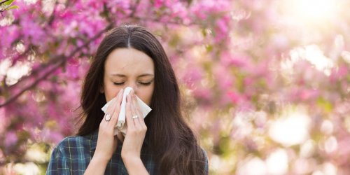 Allergie au pollen : 10 regions en alerte rouge 