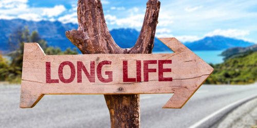 6 secrets pour vivre plus longtemps selon la science