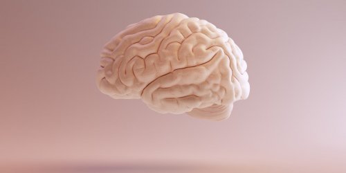 Les 9 formes de tumeurs cerebrales