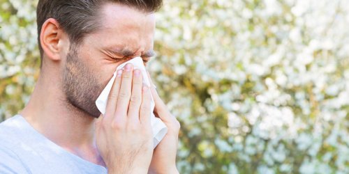 Allergie au pollen : 13 departements sont en alerte