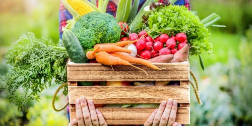 Aliments : 5 legumes a consommer apres 50 ans selon une dieteticienne