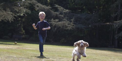 Heros a 6 ans : defigure par un chien pour sauver sa sœur