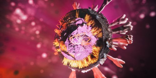 Covid-19 : les variants britannique et californien ont fusionne en un nouveau virus