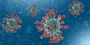 Coronavirus : un nouveau virus cree par des chercheurs pourrait combattre l-infection