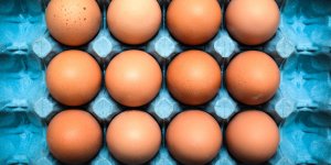 Salmonelles : plus de 500 000 œufs contamines en France