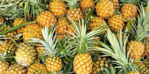Digestion, arthrite, perte de poids… 5 raisons de manger de l’ananas 
