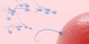 Desir de grossesse : comment fonctionne un test d-ovulation ?
