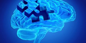 Alzheimer : supprimer ce gene pourrait vous aider a retrouver la memoire