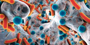 Antibioresistance : 8 000 morts au Japon a cause de deux bacteries !