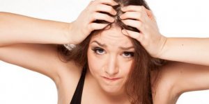 Chute de cheveux : un traitement a base de plantes