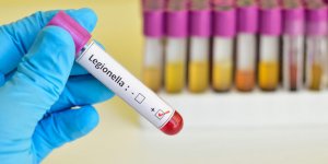 Legionellose : le traitement antibiotique