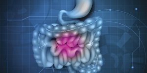 Fibroscopie digestive : les etapes