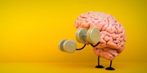 Cerveau : 7 conseils de medecin pour en prendre soin en 4 semaines