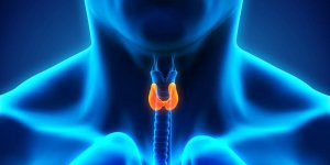Cancer de la thyroide : l-ablation obligatoire ?