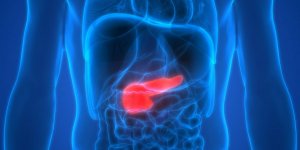 Un medicament pourrait stopper le developpement du cancer du pancreas