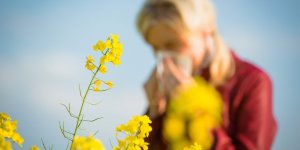 Covid-19 : pourquoi les allergies vous protegent d’une forme grave ? 