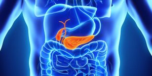 Inflammation du pancreas : combien de temps dure une pancreatite ?