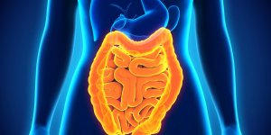 Polype a l-intestin : comment se passe l-operation ?