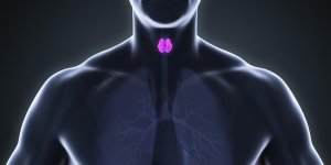 Probleme de thyroide chez l-homme : un risque de troubles sexuels