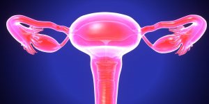 Contraception : quel delai entre un accouchement et une ligature des trompes ?