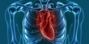 Pontage coronarien : la definition