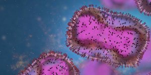 Monkeypox : l’epidemie de la variole du singe ralentit en France 