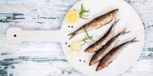 Poissons gras anti-cholesterol : les sardines