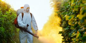 Les pesticides reconnus responsables de la maladie de Parkinson 