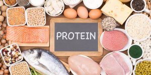 Les bienfaits des proteines 