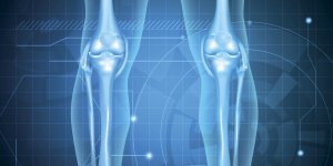 Osteoporose : qu-est-ce qu-un os spongieux ?