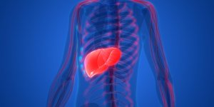 Probleme de foie : qu-est-ce que l-hepatite fulminante ?