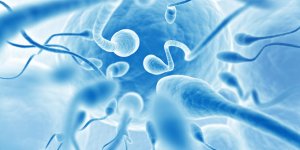 Infertilite masculine : quand faire un spermogramme ?