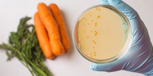 E. coli, salmonelles : cet appareil detecte les bacteries dans les aliments !