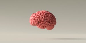 Covid-19 : pourquoi des chercheurs redoutent une vague d’Alzheimer dans 15 ans ? 