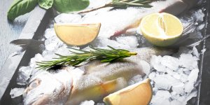 Au moins 17 cas d’infections apres avoir mange du poisson cru en France