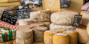 Allergie au lactose : peut-on consommer du fromage ?