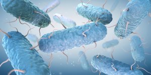 Bacteries mangeuses de chair : les endroits ou vous pouvez les attraper